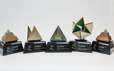 Public sector innovation shines at 2019 Awards Ceremony
