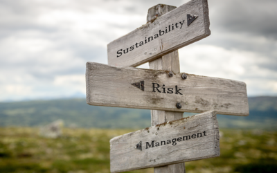 Podcast: Risk, sustainability and public policy